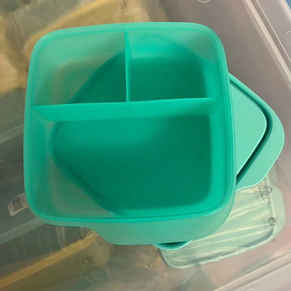 New from Tupperware Perfect lunchbox food storage container